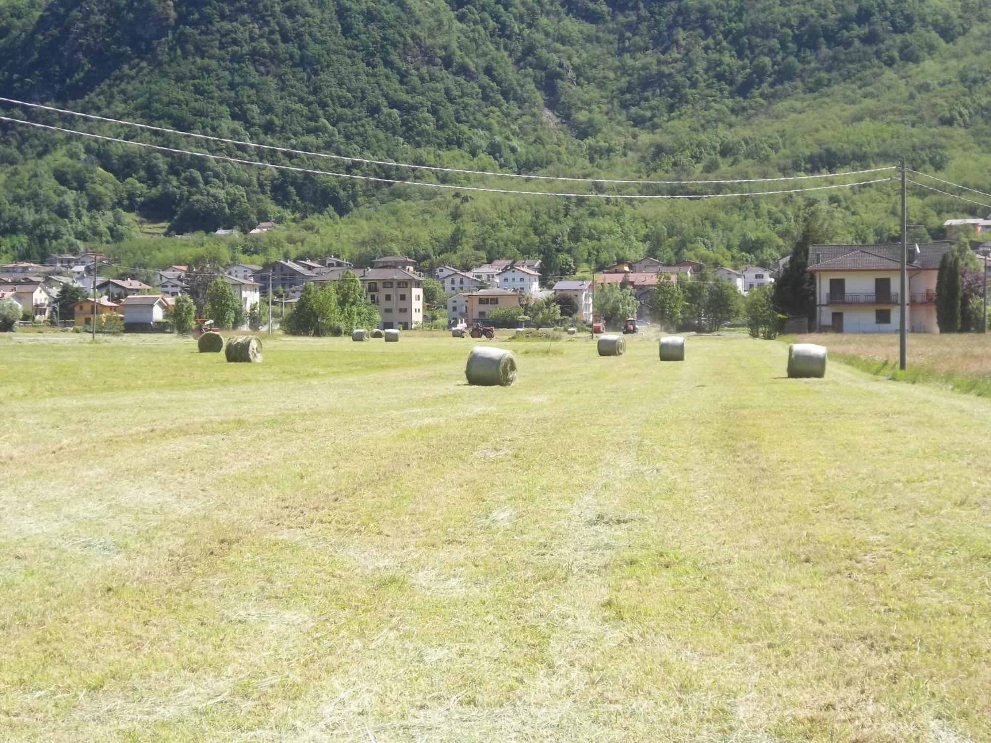 Agriturismo Al Palaz Prata Camportaccio Extérieur photo
